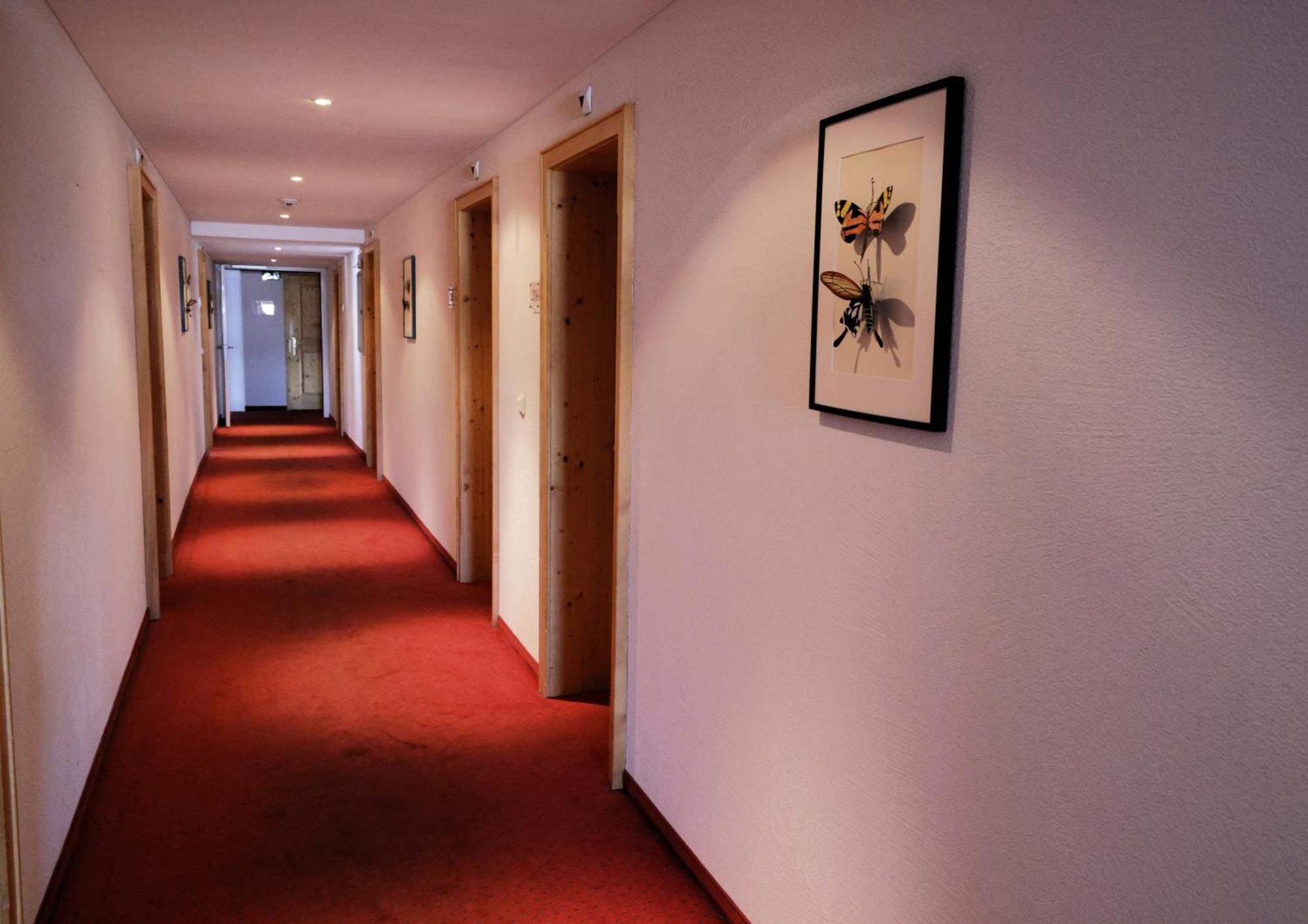 Hotel Alpina Parpan Exterior photo